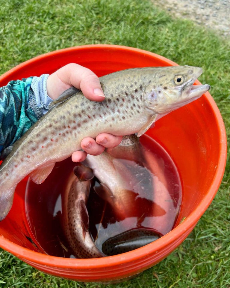 Orndorff's Rainbow Trout Farm