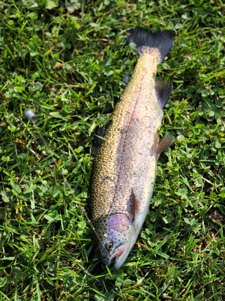 Orndorff's Rainbow Trout Farm